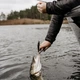 Воблер Rapala Precision Xtreme Mavrik 110 мм 15 г 1,5-1,9 м #BBZ (PXRM110 BBZ) - зображення 2