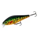 Воблер Rapala Super Shadow Rap 110 мм 38 г #HTIP (SSDR11 HTIP) - изображение 1