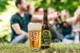 Упаковка пива Maisel&Friends Pale Ale світле фільтроване 5.2% 0.33 л х 24 шт. (40173306) - зображення 3