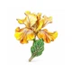 Брошь BROCHE Цветок Ирис жёлтый BRBF115663 - изображение 1