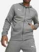 Спортивный костюм мужской Puma Team Goal Casuals Hooded + Teamgoal Casuals Grey 658595-33&658598-33 M Серый (8631764624099) - изображение 1