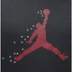 Худи мужское Jordan M J Ess Mmbr Hldy Flc Po Hd FD7465-010 S Черное (196969041144) - изображение 4