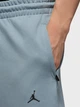 Спортивные штаны мужские Jordan M J Df Sprt Hoop Flc Pant FV8604-041 S Серые с синим (198481087419) - изображение 3