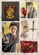 Puzzle DoDo Easy-S Harry Potter Gryffindor 150 elementów (4823115908568) - obraz 3