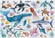 Puzzle Montessori DoDo Zwierzęta oceaniczne 200 elementów (4823115912565) - obraz 3