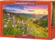 Puzzle Castorland Dzwonki o świcie 500 elementów (B-53681) (5904438053681) - obraz 1