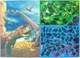 Stickerbook po numerach Moxy Dinosaur Expedition (8715427128344) - obraz 3