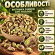 Фісташки очищені сирі натуральні без солі добірні ядра горіхів для перекусу та десертів 510 г зіп-пакет - зображення 2