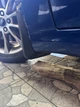 Брызговики Ford Mondeo 2015-2020 Европа, Fusion USA 2013-2020, (4шт.) - изображение 5