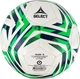 Футбольний м’яч Select Classic V25 Біло-зелений (5703543395378) - зображення 2