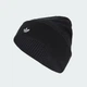 Шапка-бини Adicolor Classic adidas JW7998 (Дорослі (M/L)) черный (4068808825832) - изображение 2