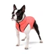 Курточка для тварин двостороння Airy Vest М 40 коралово-сіра (1846) - зображення 2