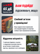 Підсилювач стільникового зв'язку та інтернету - зображення 4