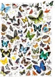 Puzzle Banana Panda Puzzlove Motyle 200 elementów (3695090) - obraz 2