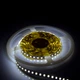 Светодиодная лента Venom SMD 2835 120 LEDs/M 12W 5м 12V IP20 Premium Холодно-белый (VP-2835121200-CW) - изображение 2