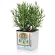 Комплект Lechuza Green Wall Home Kit Color 48х6х14 см білий 13398 - зображення 7