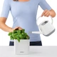 Комплект Lechuza Green Wall Home Kit Color 48х6х14 см білий 13398 - зображення 8
