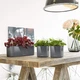 Вазон Lechuza CUBE Glossy Triple антрацитовый блестящий 13671 - изображение 6
