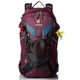 Рюкзак Deuter Freerider Pro 28 SL Blackberry-Arctic (1052-3303317 5309) - изображение 3