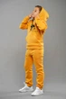 Спортивный утеплённый костюм Tiaren Арис 146 см Горчичный - изображение 1