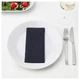 Салфетки MOTTAGA IKEA 803.429.00 черный - изображение 2
