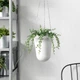 Штучна рослина в горщику IKEA FEJKA 9 см 303.953.40 - зображення 4