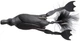 Воблер Savage Gear 3D Hollow Duckling weedless S 75 мм 15 г 05-Black (18540538) - изображение 1