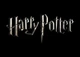 Картина Gee! Harry Potter Гарри Поттер лого 60х40 HP 09.016 - изображение 1