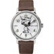 Мужские часы Timex WELTON Snoopy Tx2r94900 - изображение 1