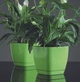 Горшок для цветов Form-Plastic Тоскана Квадро-11 1 л серый (0730-059) - изображение 4