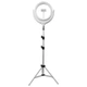 Кольцевая лампа селфи кольцо REMAX LIFE Tripod Beauty Fill Light RL-LT17|360°, 80-200cm|. &nbsp;White - изображение 1