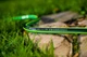 Wąż ogrodowy Cellfast Green ATS2 5/8 50 m (15-111) (5901828852459) - obraz 3