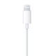 Наушники Apple EarPods with Lightning Connector (MMTN2ZM / A) - изображение 3