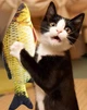 Іграшка риба для кішок Карась CatNip плюшева 3D з котячою м'ятою 30 см - зображення 3