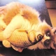Іграшка риба для кішок Карась CatNip плюшева 3D з котячою м'ятою 30 см - зображення 4