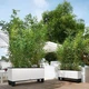 Умный вазон Lechuza Trio Cottage 30 42 л серый 15003 - изображение 8