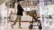 Коляска прогулочная EMMA PLUS FOREST GREEN Lionelo (det0004341) - зображення 7