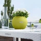 Розумний вазон Lechuza Puro Color 20 1,2 л салатовий 13362 - зображення 8