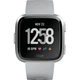 Смарт-годинник Fitbit Versa Gray/Silver (FB505SRGY) - зображення 1