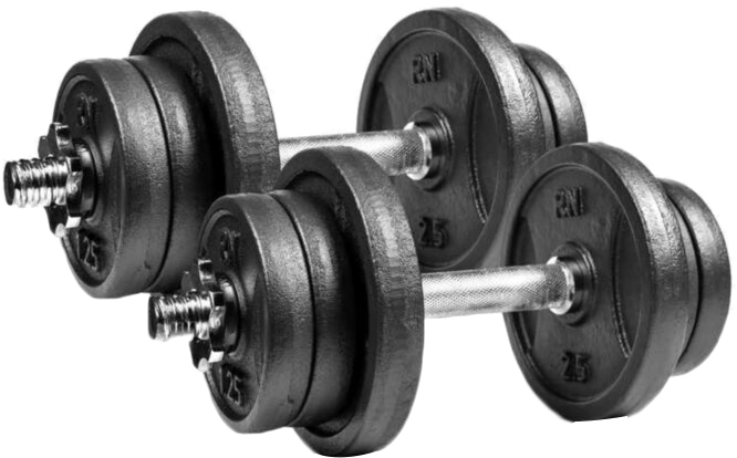 

Гантели разборные RN-Sport чугунные 2 шт по 13.5 кг (RN_QTR13х2)