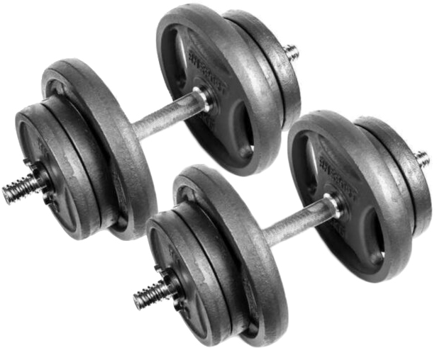 Гантели разборные RN-Sport чугунные 2 шт по 21 кг (RN_QTR21х2) – фото ...