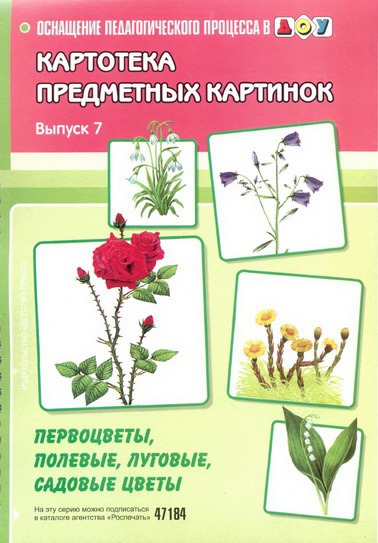 

Картотека предметных картинок. Выпуск 7. Первоцветы, полевые, луговые, садовые цветы