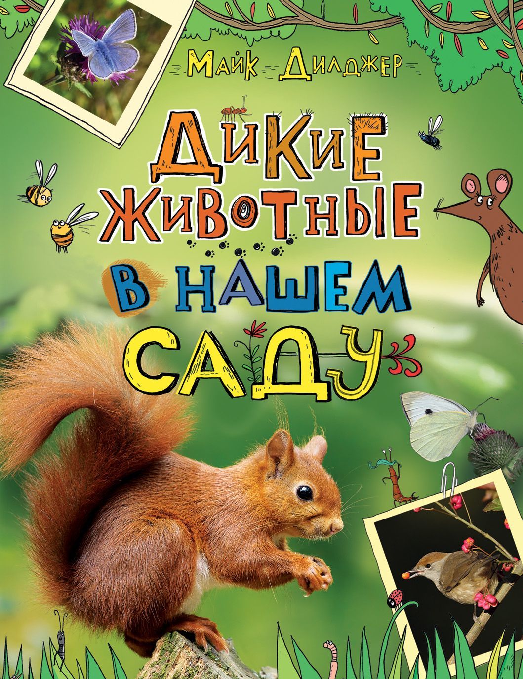 

Дикие животные в нашем саду