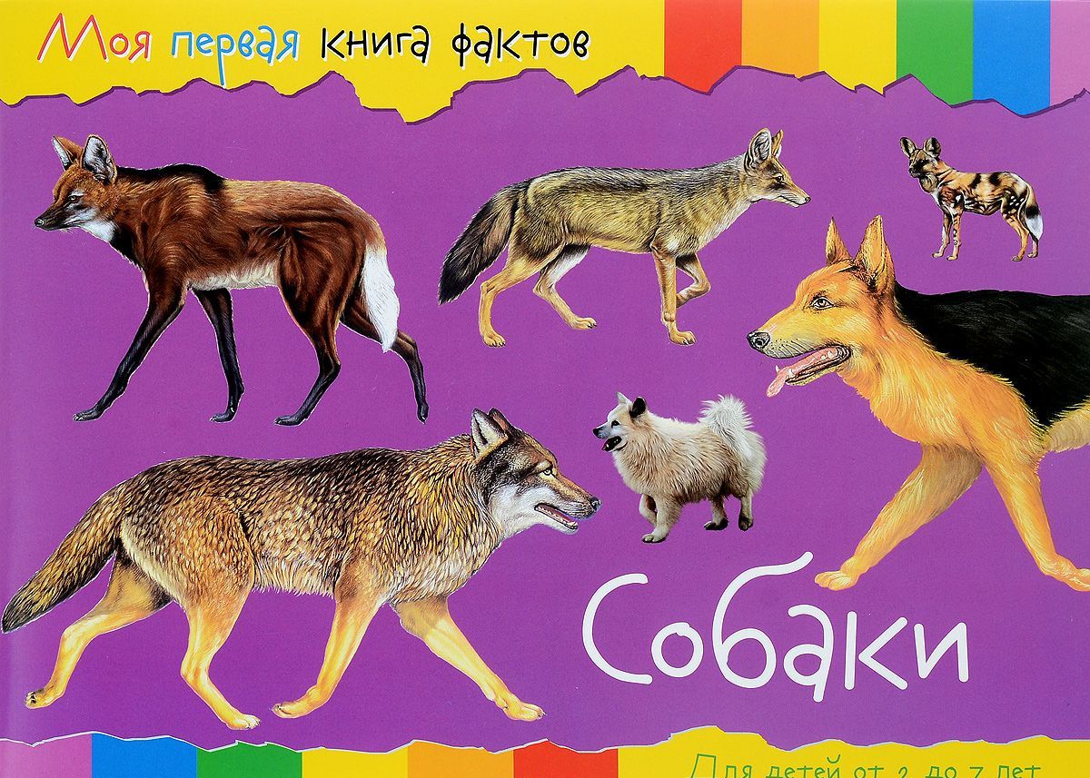 

Собаки