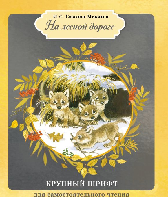 

На лесной дороге