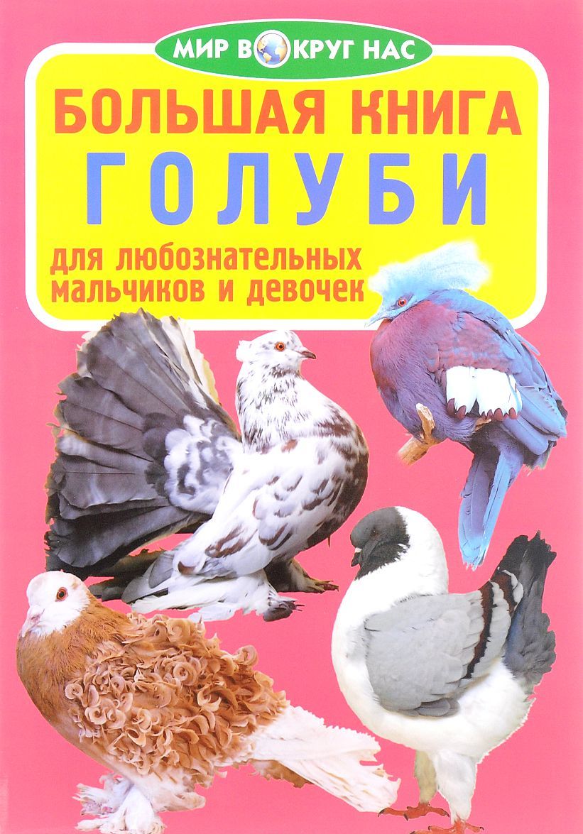 

Голуби