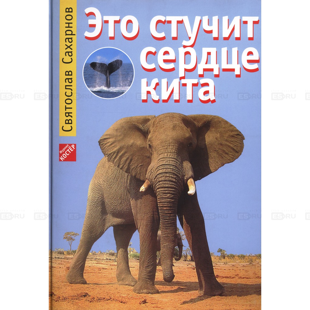 

Это стучит сердце кита