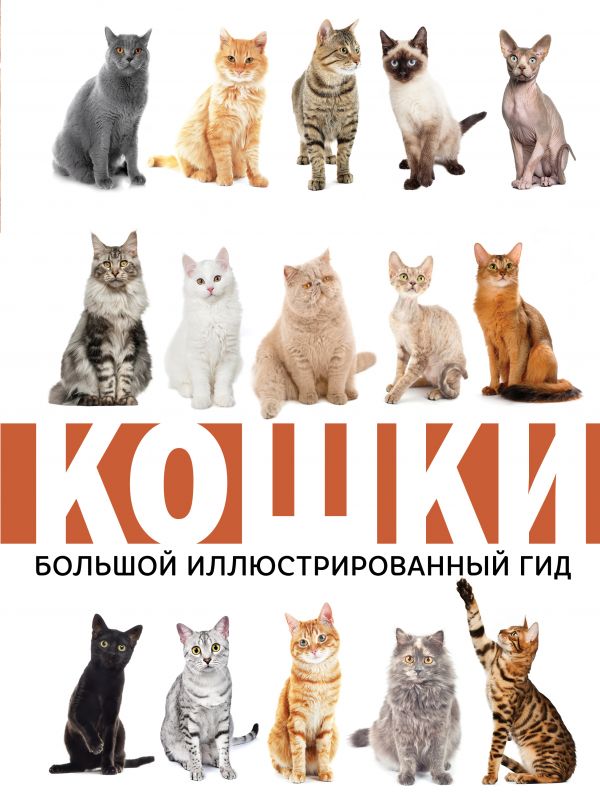 

Николай Непомнящий: Кошки