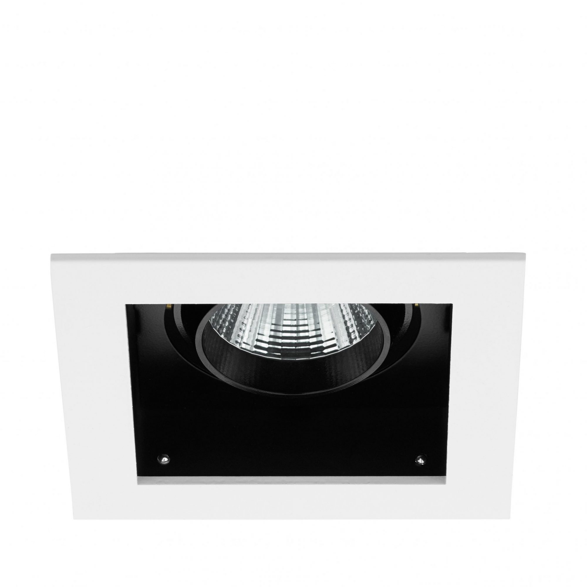 

Светильник настенно-потолочный Eglo BISCARI 1/PROFESSIONAL LIGHTING (61601)
