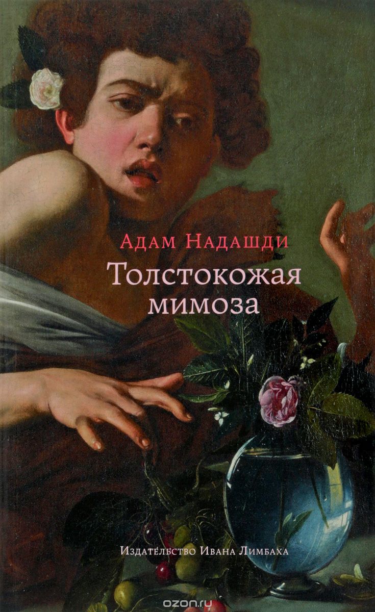 

Толстокожая мимоза
